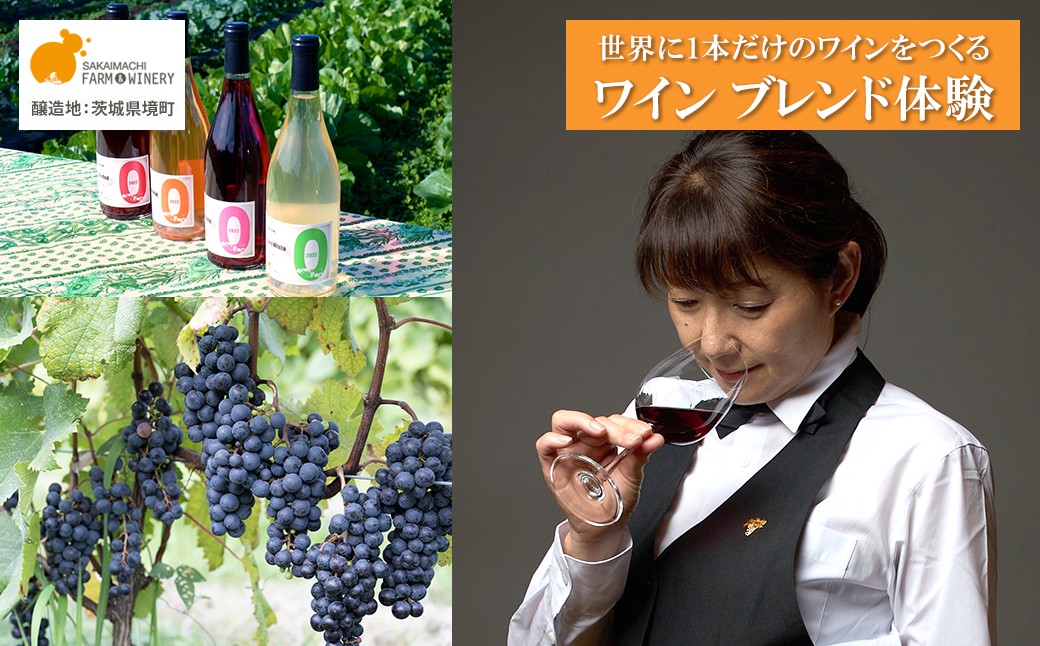
                  オリジナルワインブレンド体験 1名様利用券 ワイン1本付き 試飲 オリジナルラベル ツアー 酒 お酒 赤 白 飲み比べ ギフト 甘口 辛口 さかいまちワイナリー K2712
                