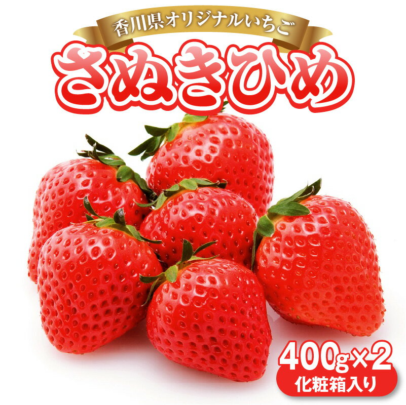 【ふるさと納税】 いちご 定期 【先行予約】 香川県オリジナルいちご 「さぬきひめ」 400g 化粧箱×2箱 三豊市 讃岐 さぬき フルーツ 果物 果実 苺 いちご イチゴ ご当地 お取り寄せ ギフト お取り寄せギフト 香川県 お取り寄せ ギフト 人気 五色青果