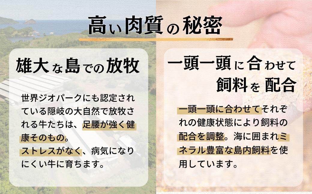隠岐牛上切り落とし800g