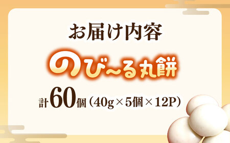 【手作りつきたて急速冷凍】佐賀県産もち米100%自慢の杵つき丸白餅(冷凍)計60個入(40g×5個×12P) / 佐賀県 / 山代ガス株式会社 旬菜舎[41AABM021]