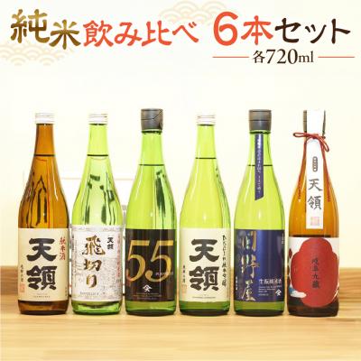 ふるさと納税 下呂市 【父の日までにお届け】【天領酒造】「純米飲みくらべ」Fセット6本 (各720ml) 【2-18f】