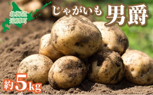 【2025年産】遠別産 じゃがいも（男爵約5㎏）※2025年9月上旬より出荷※