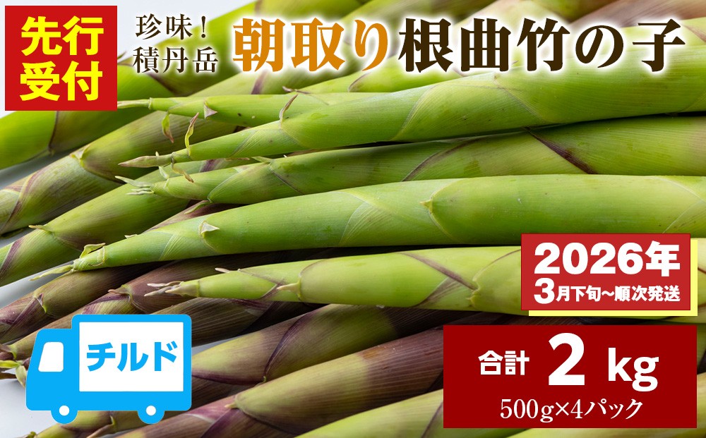 
            【先行予約開始！】2026年発送★積丹産珍味積丹岳根曲竹の子2kg（500g×4パック）
          