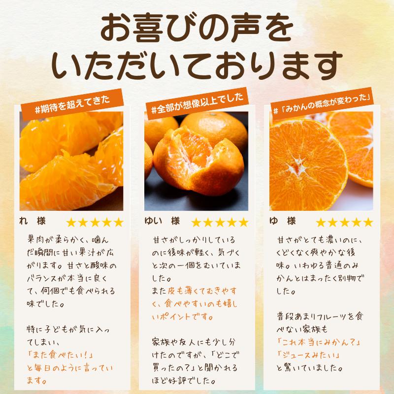 【先行受付】【果汁あふれる】とろ甘食感 はるみ　4kg　愛媛県産【49-121】【1741171】 YWTZ090