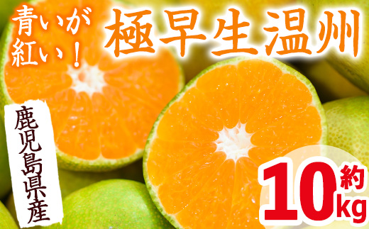 i093 ＜先行予約受付中！2026年9月以降順次発送予定＞ 鹿児島県産！ 極早生温州みかん(10kg) 温州みかん みかん 10kg 柑橘 種果物 くだもの フルーツ オレンジ 旬 国産 【JA鹿児島いずみ(果実課)】