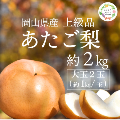 【きよとうファーム】あたご梨 上級品 2玉入(1kg級/玉)(岡山県産)【1559830】