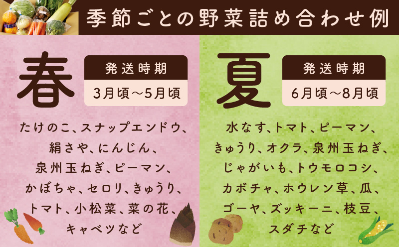 10種類の新鮮野菜 定期便 全6回 詰め合わせ 国産 半年【毎月配送コース】 099Z186