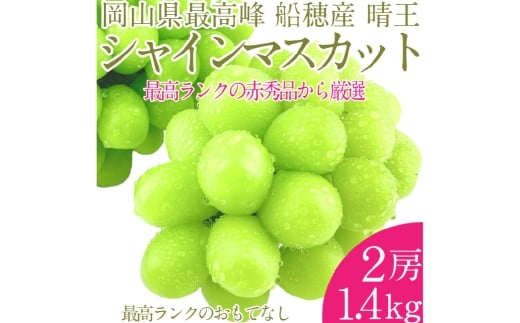プレミアム シャインマスカット 晴王 2房 約1.4kg 種無し  皮ごと食べる  フレッシュ  旬の美味しさ【2026年9月上旬-10月下旬 発送予定】【シャインマスカット マスカット ぶどう 葡萄 岡山県産   種無し 皮ごと食べる みずみずしい 9月～10月お届け フレッシュ 晴れの国おかやま 果物大国 贈答品 彩美菜果 岡山県 倉敷市】