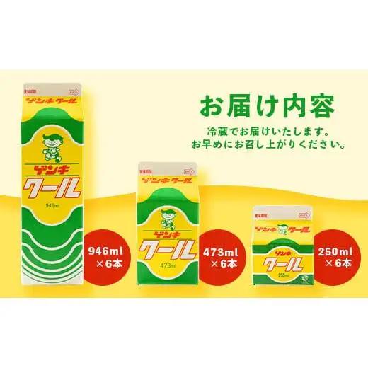 ゲンキクールバリューセット　GN-1