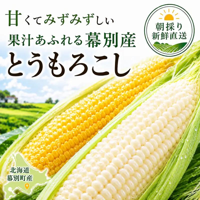 先行予約 2026年 黄・白とうもろこし 計18～20本 とうもろこし