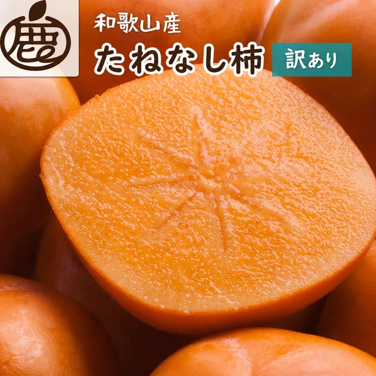 家庭用 たねなし柿 約5kg【AQ-ikd727】