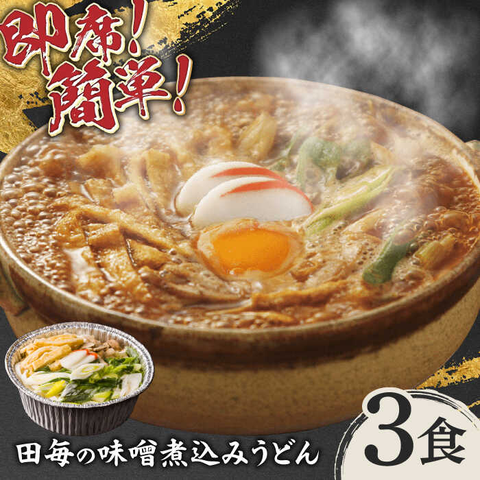 【ふるさと納税】うどん 岐阜の味 田毎の味噌煮込みうどんセット 即席 カンタン 麺 うどん 味噌煮込みうどん 煮込みうどん 冷凍麺 特製味噌 秘伝の出汁 具材付き 鍋不要 水不要 老舗 名店 名古屋めし 夜食 ランチ 惣菜 ギフト プレゼント 人気 岐阜市/ラボレムス[ANFP002]