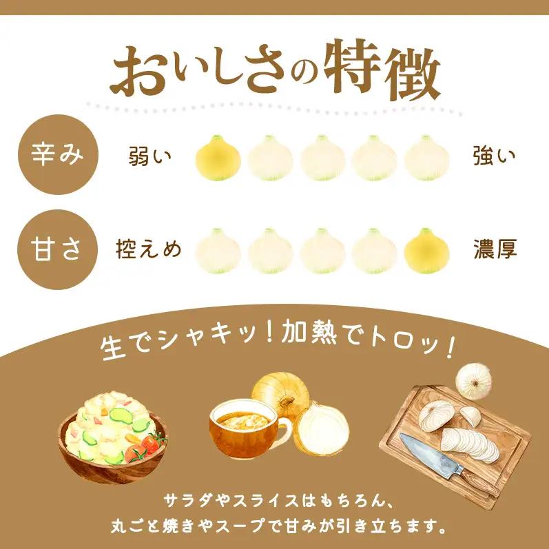 新玉ねぎ 淡路島産 5kg 山木さんち 甘い 新玉ねぎ