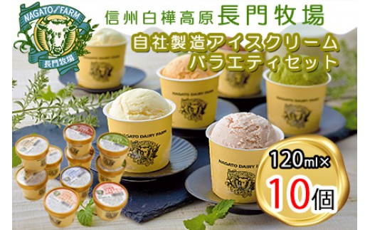 長門牧場アイスクリーム10個セットA-1　6種のフレーバー詰め合わせ（バニラ、チョコレート、抹茶、ヨーグルト、いちご、あんず）　人気スイーツ　濃厚ミルク　直送　牛乳　生乳　国産　夏ギフト　長野県　贈答品　お土産　お中元　お歳暮　クリスマス