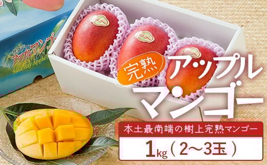 ≪先行予約・数量限定≫☆本土最南端☆佐多の果樹園で育てた 完熟アップルマンゴー 1kg (2～3玉) 【2026年7月上旬以降順次発送】｜鹿児島県 南大隅 産地直送 旬 マンゴー フルーツ 果物 くだもの V7407