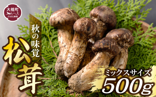 《先行予約》【令和8年10月より発送】秋の味覚！松茸ミックスサイズ 500g（MJ）国産 岩手 岩手県 土瓶蒸し 松茸ごはん マツタケ まつたけ