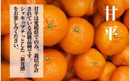 【三種のみかん食べ比べ箱】甘平・はるか・宮内伊予柑 （家庭用）約5kg　＜2月から順次発送＞ みかん 柑橘 フルーツ 蜜柑 果物【PT020_x】