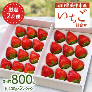 岡山県美作市産　厳選2品種いちご詰合せ(約400g×2パック)_果物・フルーツ いちご  イチゴ 苺_【配送不可地域：離島・北海道・沖縄県】【1073697】