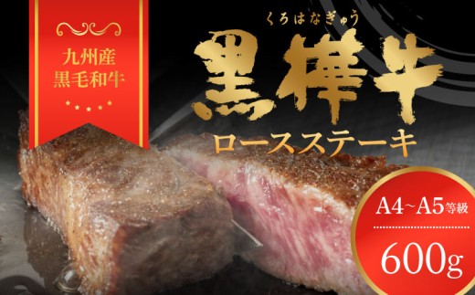 
            ステーキ 牛肉 A4~A5 計600g （200g×3）杉本本店 黒樺牛 
          