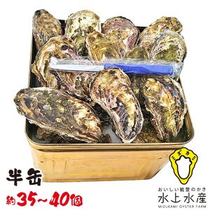【能登半島地震復興支援】【発送時期が選べる】水上水産の能登のかき 半缶ガンガン焼き（約35～40個・ナイフ付） ※離島への配送不可 石川県 七尾市 能登 ※2026年1月上旬～4月下旬頃に順次発送予定
