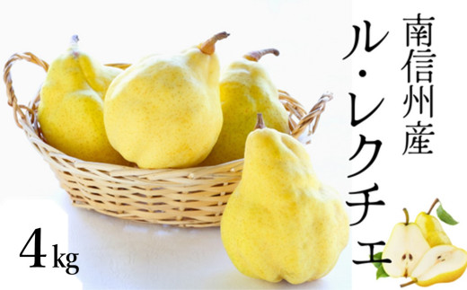 JA18【先行予約】洋梨 ル・レクチェ 約4kg（化粧箱入）／2026年11月上旬～12月上旬ごろ配送// 贈答 ギフト 長野県 南信州 洋梨 ルレクチェ レクチェ 洋ナシ 大玉 高糖度