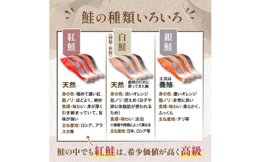 〔特選〕北洋紅鮭切り身 4切入り200g×5袋 ふるさと納税 魚