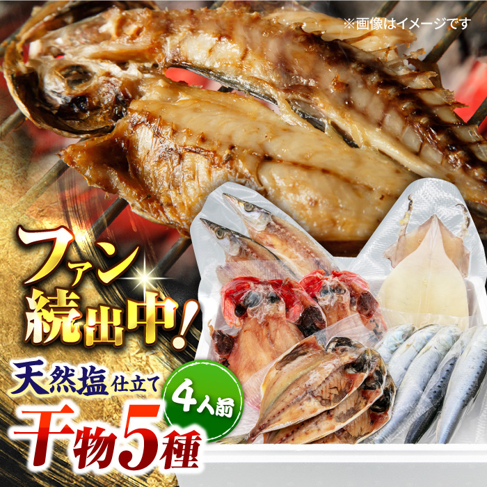 漁師町佐島 干物詰め合わせ5種 4人前セット キンメ鯛 アジ カマス イワシ イカ 横須賀 【石川水産】 [AKCX004]