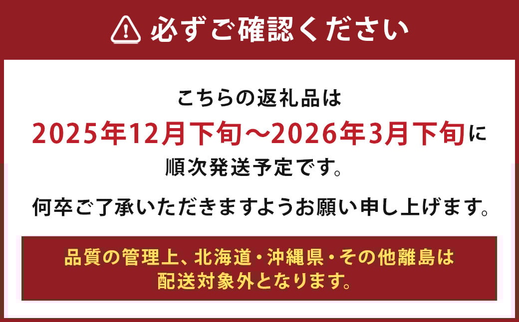 希少な地元産いちご 『みつのか』 280g×4パック 計1.12kg
