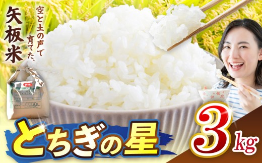 とちぎの星 3kg 空と土の声を聴いて育てた「矢板米」 | お米 米 栃木県 矢板市