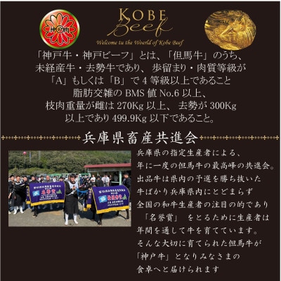 神戸牛　TSST10　ロースステーキ　200g×6枚　合計1200g【配送不可地域：離島】