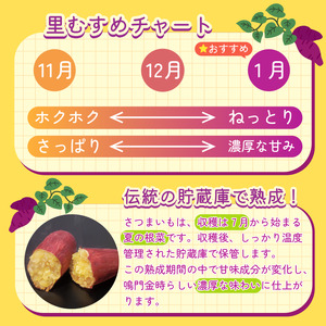 なると金時 Lサイズ 5kg 11月発送 さつまいも なると金時