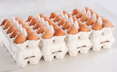 【定期便】3ヵ月連続お届け　卵の黄身が掴めるほどの新鮮さ　美ら卵養鶏場の卵　各月80個