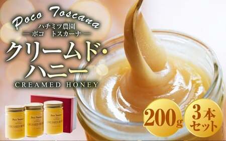 クリームド・ハニー  200g瓶×3本セット （計600g） 蜂蜜 はちみつ ハチミツ 非加熱ハチミツ セット 九州 長崎県 長崎市 常温