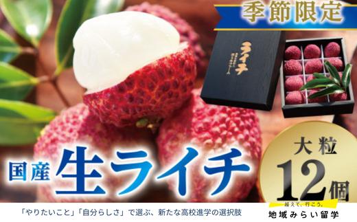
                  【先行予約】佐賀県産ライチ 贈答用大粒12個入
                