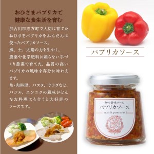 ☆期間限定☆加古川おひさまパプリカ＆ジャム・ソース・ソルト【8月より順次発送】【2401F08201】