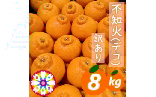 愛咲果樹園 「 不知火 ( デコ )」 訳あり 約8kg＜C71-13＞_ 訳アリ わけあり ワケアリミカン みかん しらぬい シラヌイ デコ 常温 フルーツ 果物 くだもの 家庭用 人気 柑橘 かんきつ 不揃い 規格外 傷 愛媛 旬 産地直送 産直 季節限定 【1344724】