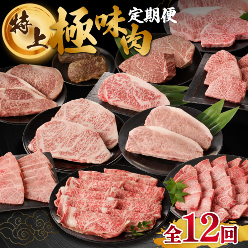 【特上】佐賀牛　極味肉定期便【毎月1回 計12回お届け】