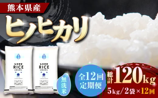 《 新米先行予約 》【全12回定期便】2025年10月より順次発送  ヒノヒカリ 無洗米10kg【株式会社  農産ベストパートナー】定期便 10kg 無洗米 精米 特A ヒノヒカリ ひのひかり コメ 米 お米 熊本県 熊本県産  [ZBP080]