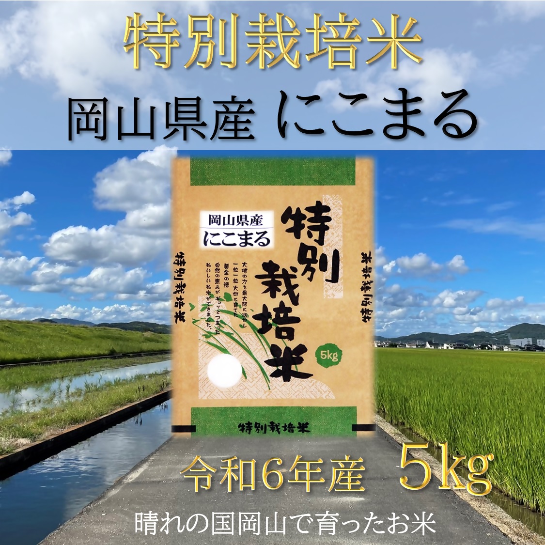 SS-126　【お米　特別栽培米】岡山県産「にこまる」5kg（令和6年産）