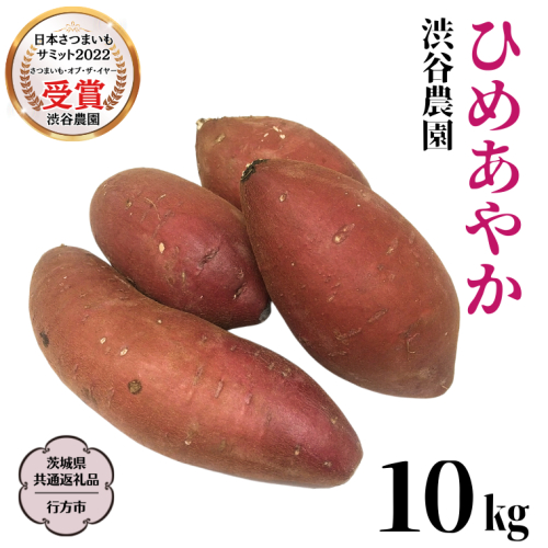 ひめあやか 約10kg (茨城県共通返礼品／行方市) 2025年11月から発送開始 渋谷農園 さつまいも いも 芋 焼き芋 [DT008sa]