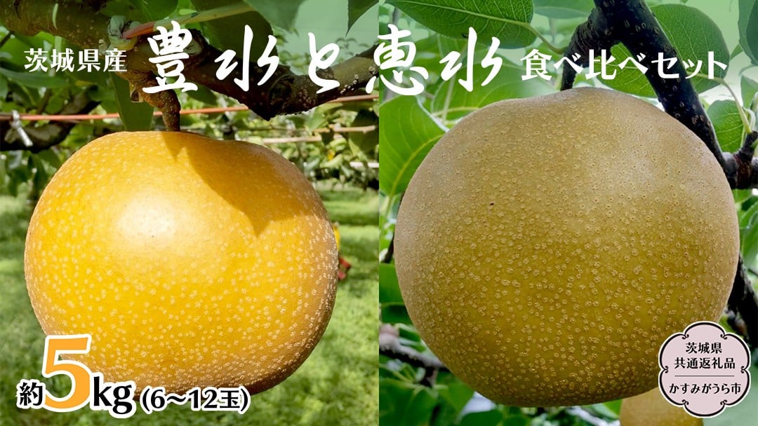 
                  豊水 ・ 恵水 食べ比べ セット 約 5kg (茨城県共通返礼品 かすみがうら市) 産地直送 久保田果樹園 フルーツ 甘い 直送 茨城 限定 ギフト 梨 果物 [DH016sa]
                