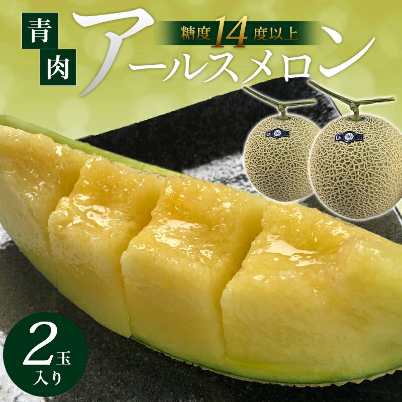 【ふるさと納税】 先行予約 青肉アールスメロン 2玉 果物 フルーツ メロン 糖度14度以上 季節限定 期間限定 特産品 お取り寄せ グルメ