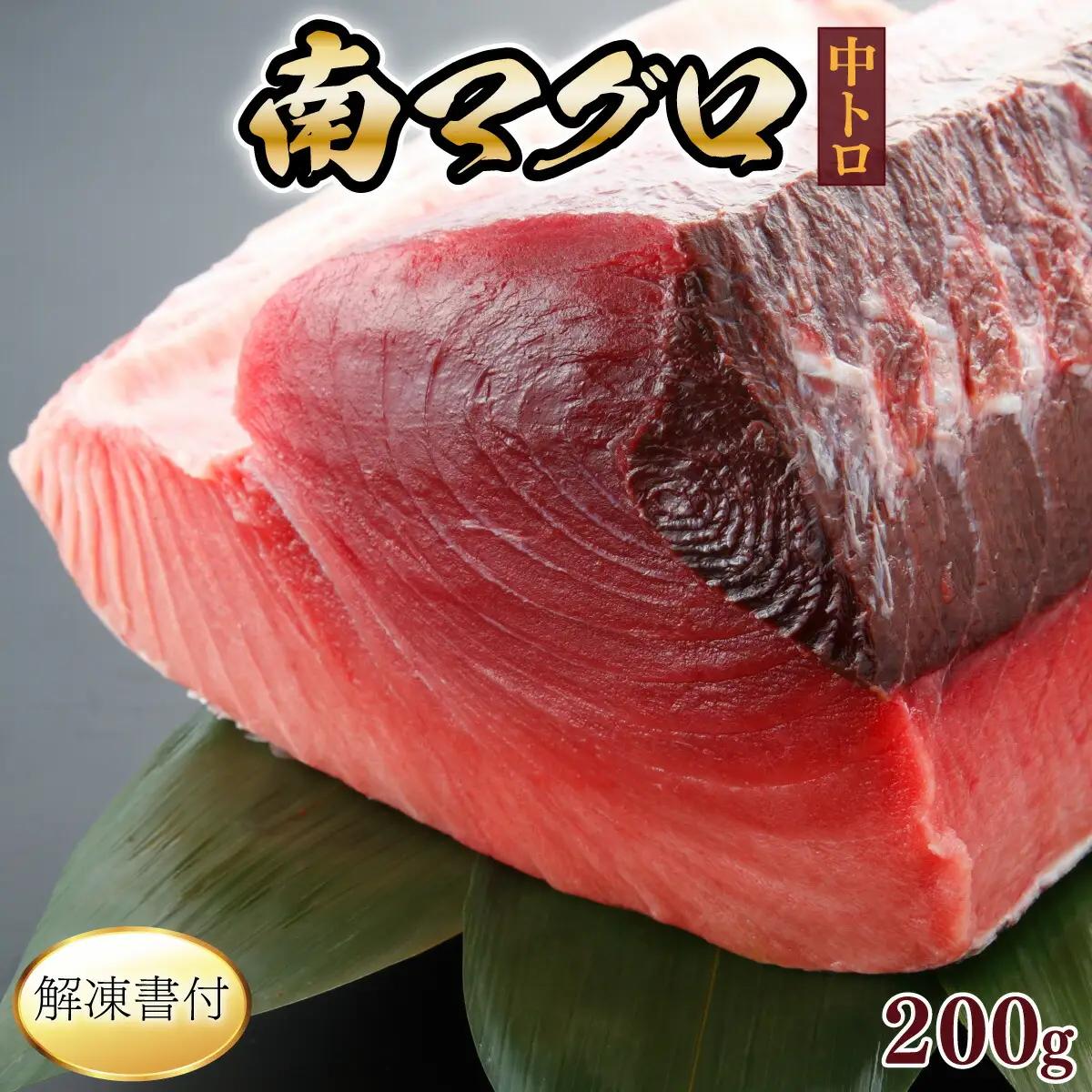 【中トロ】天然南マグロ　中トロ　１柵　【解凍書付】まぐろ 鮪 海鮮 冷凍 さしみ 刺身 父の日 高知 室戸 マグロ