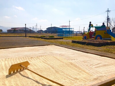 廃食油リサイクル粉せっけん 愛しゃぼん 1200g×3袋 ＮＰＯ法人 愛のまちエコ倶楽部 滋賀県 東近江市 A-C16 リサイクルせっけん 粉せっけん 廃油 再生 洗濯 洗剤 石鹸 びわ湖 環境 エコ
