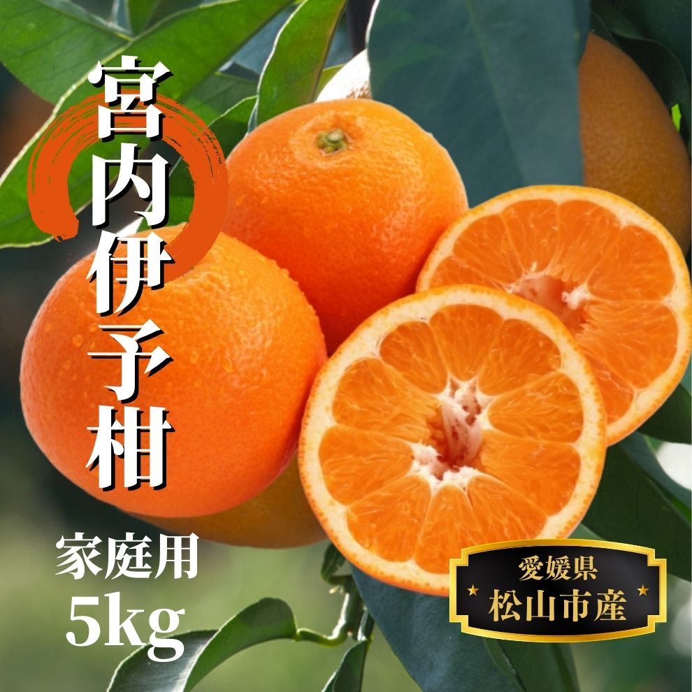 【ふるさと納税】 宮内伊予柑 家庭用 約5kg ＜2026年2月から3月中旬頃発送＞ | 愛媛 みかん 先行予約 蜜柑 柑橘 果物 くだもの フルーツ お取り寄せ グルメ 期間限定 数量限定 人気 おすすめ 愛媛県 松山市