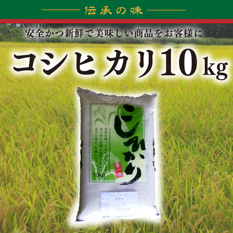 【令和7年産新米】コシヒカリ　10kg【新米 安心 美味しい お米 おにぎり 茨城県 北茨城市】(BD103)