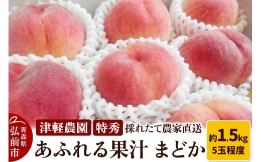 【25年8月発送】もも【2025年産 あふれる果汁 まどか】特秀 約1.5kg 5玉程度 ASIAGAP認証農場 津軽農園 採れたて 農家直送