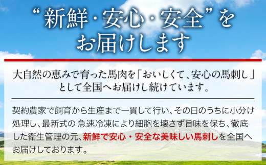 赤身馬刺し ロース 200g ブロック数不定 醤油付き 5ml×2袋 山江村（桜屋）《60日以内に出荷予定(土日祝除く)》熊本県 山江村 馬肉 馬刺し 赤身 ロース 熊本県産 国産---sy_fskr