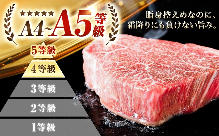 博多和牛 シャトーブリアン ステーキ ヒレ 福岡県産 希少部位