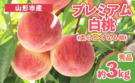プレミアム白桃 秀品 約3kg (5～14玉) [柔らかくなる桃] 【令和8年産先行予約】 FS25-627 くだもの 果物 フルーツ 山形 山形県 山形市 2026年産